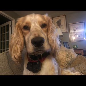 Meet your Posher, Charles